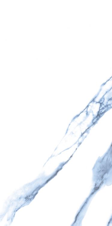 Calacatta Blue Matte 12 x 24
